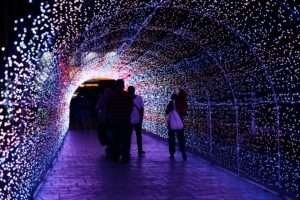 LED lights tunnel during christmas celebration